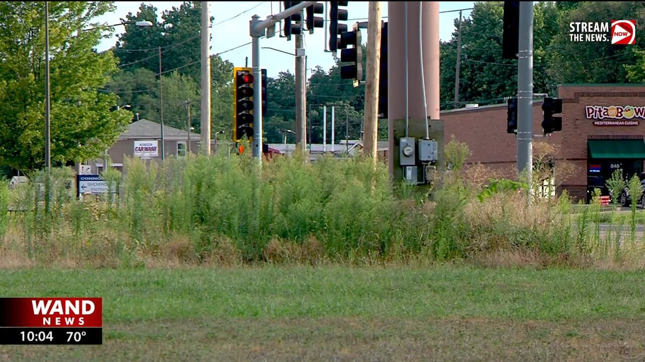 Council amends ordinance on lawn care requirements to crack down on repeat offenders